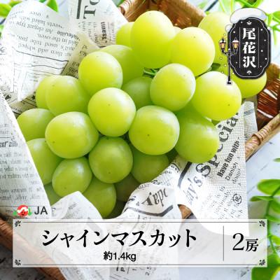 ふるさと納税 尾花沢市 先行受付 ぶどう シャインマスカット 2026年産 約1.4kg 果物 ja-busmx1400