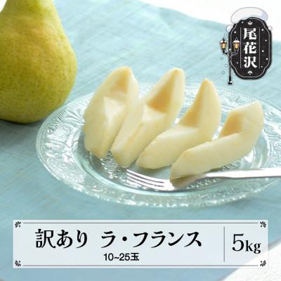 ふるさと納税 尾花沢市 訳あり ラ・フランス 5kg 令和7年産 ns-laxxw5