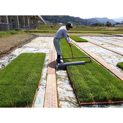 ふるさと納税 糸魚川市 新潟県産 糸魚川産令和8年産 コシヒカリ 100% 精米 3kg |  | 01