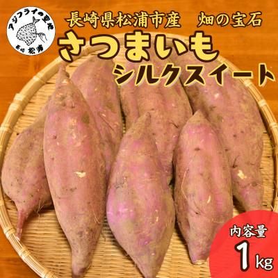 ふるさと納税 松浦市 [長崎県松浦市産]畑の宝石 さつまいも(シルクスイート)1kg