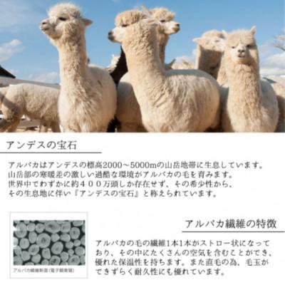 ふるさと納税 和歌山市 アルパカ毛布シングルサイズ140×200cm