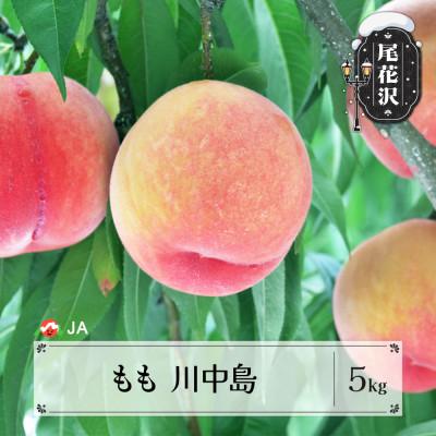 ふるさと納税 尾花沢市 先行予約 もも 川中島 5kg 秀品 20玉以上 2026年産 ja-moknx5