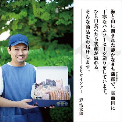ふるさと納税 蒲郡市 もりウインナー　ハム・ソーセージ詰め合わせ　ビーフジャーキー入り　8点セット_【G0686】 |  | 01