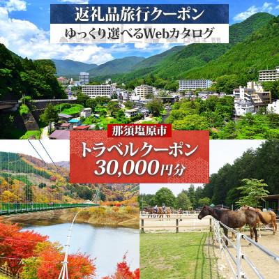 ふるさと納税 那須塩原市 那須塩原市 後から選べる旅行Webカタログで使える! 旅行クーポン(30,000円分)