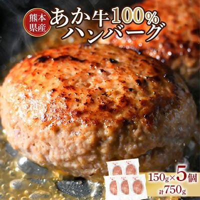 ふるさと納税 宇土市 熊本県産 あか牛100%ハンバーグ 計750g