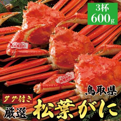 ふるさと納税 北栄町 [2026年11月発送]特撰 松葉がに(茹)[タグ付き]600g3杯 N15_Y