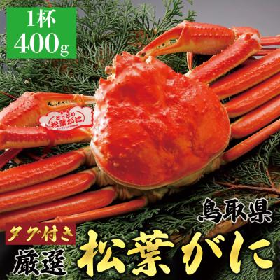 ふるさと納税 北栄町 [ボイル]タグ付き 厳選松葉ガニ 400g以上×1杯 2025年11月発送 N19_Y
