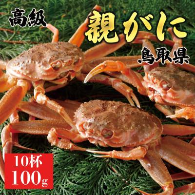 ふるさと納税 北栄町 [2025年11月発送]鳥取県産 特撰 親がに 姿[セコガニ](活)100g 10杯 N45_I