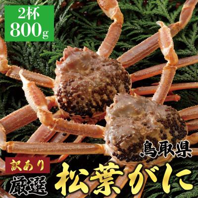 ふるさと納税 北栄町 [活] [訳あり]厳選松葉がに 特大2杯(800g×2杯) 2025年11月発送 N26_I