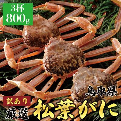ふるさと納税 北栄町 [活] [訳あり]厳選松葉がに 特大3杯(800g×3杯) 2025年11月発送 N27_I