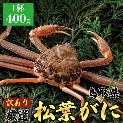 ふるさと納税 北栄町 [活] [訳あり]厳選松葉がに 1杯(400g×1杯) 2025年11月発送 N37_I
