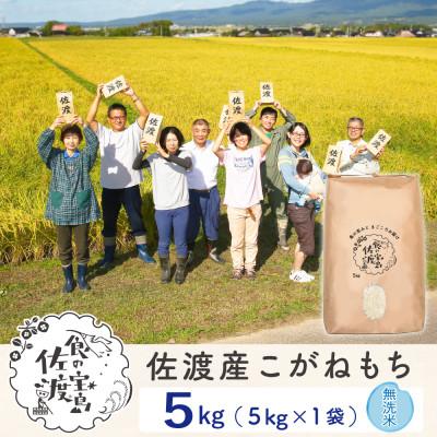 ふるさと納税 佐渡市 佐渡島産こがねもち 無洗米5Kg(5Kg×1袋)[令和7年産]