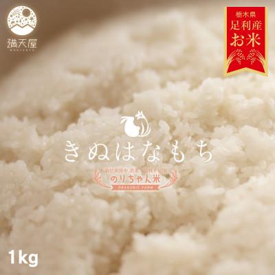 ふるさと納税 足利市 のりちゃん米 もち米 (きぬはなもち) 1kg&lt;栽培期間中 農薬・肥料不使用&gt;