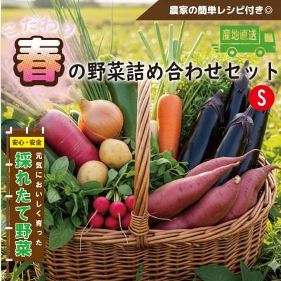 ふるさと納税 和泉市 [こだわり春の野菜詰め合わせセット]Sサイズ 栽培期間中農薬・化学肥料・除草剤不使用の旬野菜