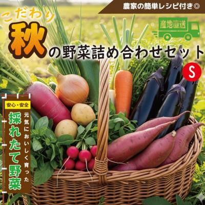 ふるさと納税 和泉市 [こだわり秋の野菜詰め合わせセット]Sサイズ 栽培期間中農薬・化学肥料・除草剤不使用の旬野菜