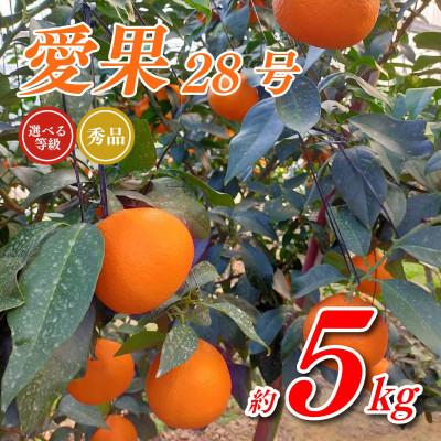 ふるさと納税 松山市 [先行予約]トロトロの果肉!あいか 約5kg 秀品(愛果28号)