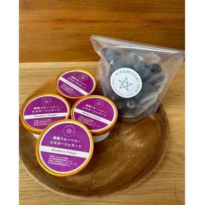 ふるさと納税 能登町 ジェラート4個とフローズンブルーベリー200gセット