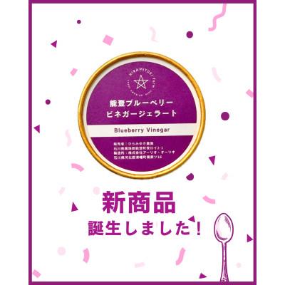 ふるさと納税 能登町 能登ブルーベリービネガージェラート 計104ml×6個