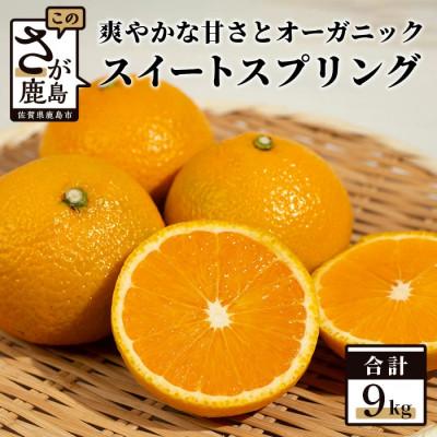 ふるさと納税 鹿島市 [先行予約] オーガニック スイートスプリング 約9kg 有機栽培