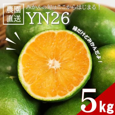 ふるさと納税 日高町 [先行受付]9月からみかんが楽しめる!極早生みかん YN26 約5kg(2026年9月中旬〜出荷)