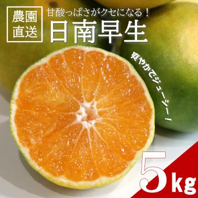 ふるさと納税 日高町 [先行受付]甘酸っぱさを楽しむ!人気の極早生みかん 日南早生みかん 5kg(2026年10月〜発送)