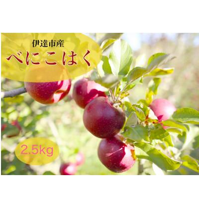 ふるさと納税 伊達市 べにこはく 伊達市産りんご 2.5kg