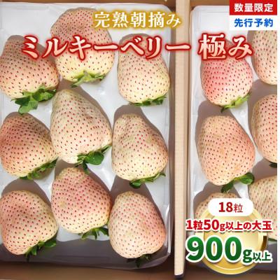 ふるさと納税 矢板市 [数量限定] 完熟朝摘みミルキーベリー 極み 18粒[1月初旬〜2月初旬に順次発送] 澳原いちご農園