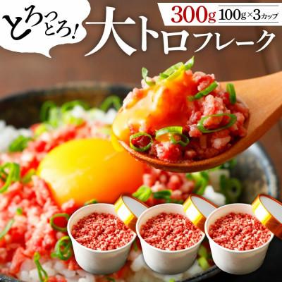 ふるさと納税 阿蘇市 馬肉大トロフレーク 300g 約100g×3カップ(阿蘇市)