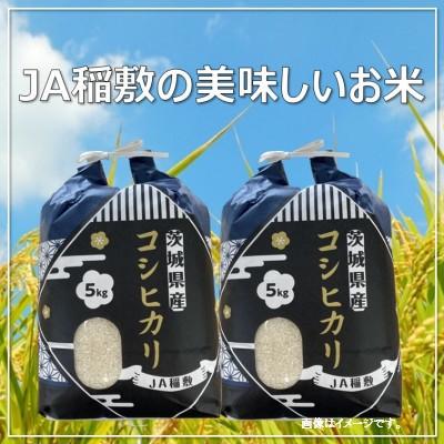 ふるさと納税 稲敷市 [令和7年産]コシヒカリ白米10kg(5kg×2袋)