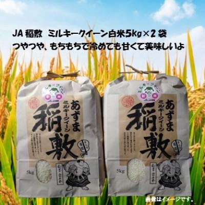 ふるさと納税 稲敷市 [令和7年産]ミルキークイーン白米10kg(5kg×2袋)