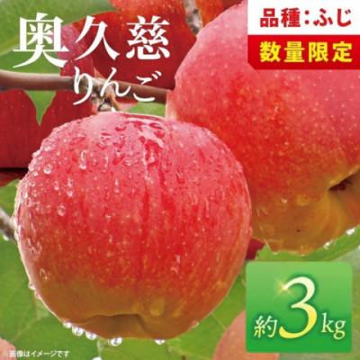 ふるさと納税 大子町 奥久慈りんご「ふじ」約3kg[三村観光りんご園][数量限定][11月以降順次発送予定]茨城県 大子町