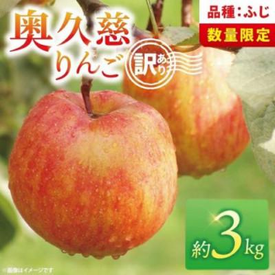 ふるさと納税 大子町 [訳あり]奥久慈りんご「ふじ 」約3kg [三村観光りんご園][11月以降順次発送予定]茨城県 大子