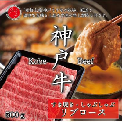 ふるさと納税 豊岡市 神戸牛リブローススライス500g FU001[うすなが牧場]