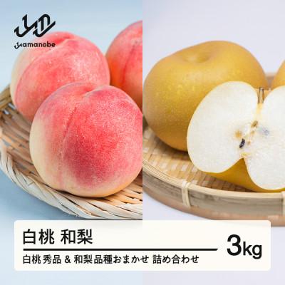 ふるさと納税 山辺町 [先行予約]白桃 和梨 詰め合わせ 品種おまかせ 化粧箱入り 3kg R8年産 ns-fshnx3