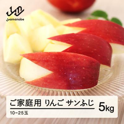ふるさと納税 山辺町 [先行予約]サンふじ ご家庭用 5kg 令和7年産 りんご ns-risfw5