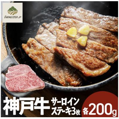 ふるさと納税 豊岡市 神戸牛サーロインステーキ3枚600g(各200g)FS70