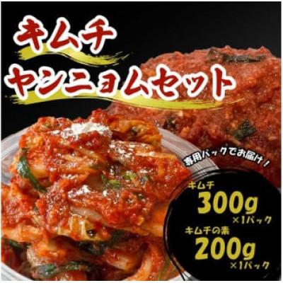 ふるさと納税 志摩市 自家製 京城キムチ(300g×1パック)とキムチの素(200g×1パック)セット