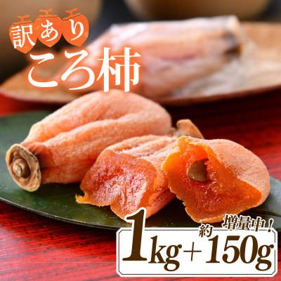 ふるさと納税 羽咋市 訳あり 令和6年産 ころ柿 1kg + 約150g 増量 化粧箱 能登 名産