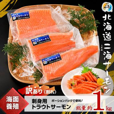 ふるさと納税 八雲町 [訳あり][数量限定]北海道二海サーモン 刺身用 約1kg(500×2) トラウトサーモン 海鮮