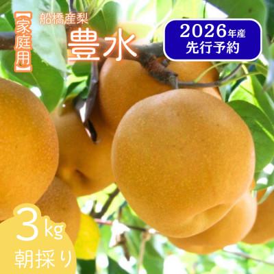 ふるさと納税 船橋市 令和8年9月上旬より順次発送[家庭用]船橋産梨「豊水」3kg (6〜9玉)