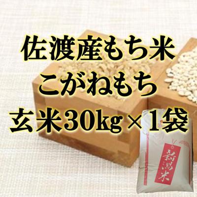 ふるさと納税 佐渡市 [令和7年産]佐渡産もち米 こがねもち 玄米30kg×1袋