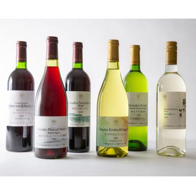 ふるさと納税 韮崎市 韮崎産赤白ワイン飲み比べ6本セット 750ml×6本