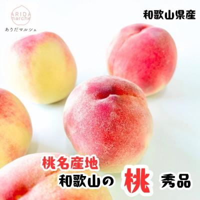 ふるさと納税 かつらぎ町 ≪先行予約 2027年6月〜発送≫厳選 和歌山のこだわり桃 4〜6玉(約1.5kg) | 