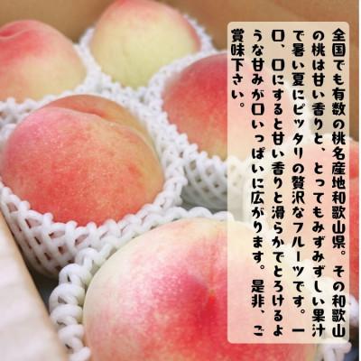 ふるさと納税 かつらぎ町 ≪先行予約 2027年6月〜発送≫厳選 和歌山のこだわり桃 4〜6玉(約1.5kg) |  | 01