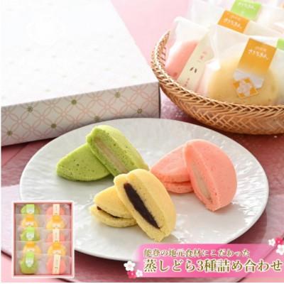 ふるさと納税 羽咋市 [復興支援]蒸し どら焼き 3種 10個セット (つぶあん・りんご・ゆず)
