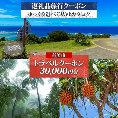 ふるさと納税 奄美市 後から選べる旅行Webカタログで使える! 旅行クーポン(30,000円分)(奄美市)