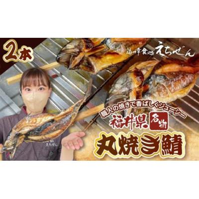 ふるさと納税 越前町 [福井県 名物]丸焼き鯖 二本 職人の焼きで香ばしくジューシー