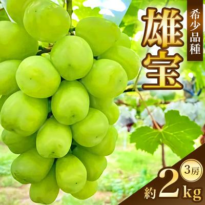ふるさと納税 千曲市 [2026年発送]ぶどう 雄宝 約2kg(3房)