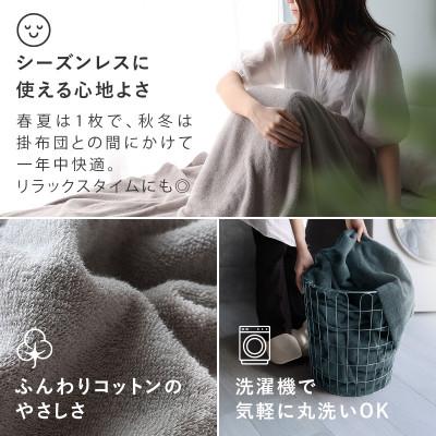 ふるさと納税 今治市 (今治タオル)ホテルズ　タオルケット(シルバーグレイ)ヒオリエ【I003840KT1SGY】 |  | 03