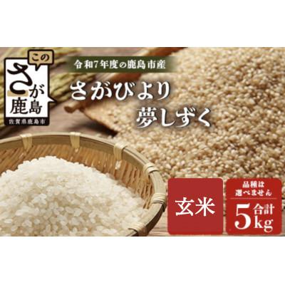 ふるさと納税 鹿島市 令和7年度産 鹿島市産 [さがびよりor夢しずく] 5kg 1袋 [品種指定不可] 玄米